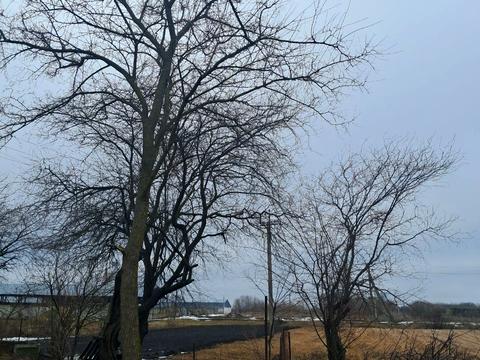 будинок за адресою Конотоп, Квіткова