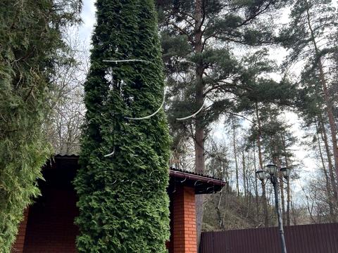 будинок за адресою Суворова вул.