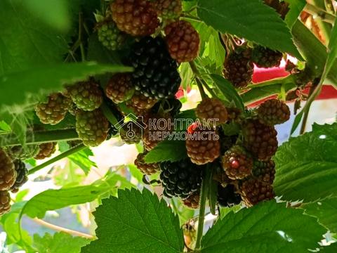 будинок за адресою Верхня Гиївська вул., 66