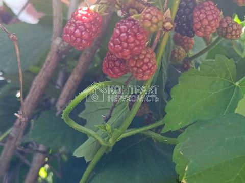 будинок за адресою Верхня Гиївська вул., 66