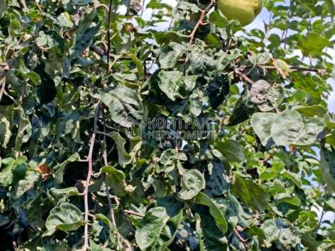будинок за адресою Верхня Гиївська вул., 66