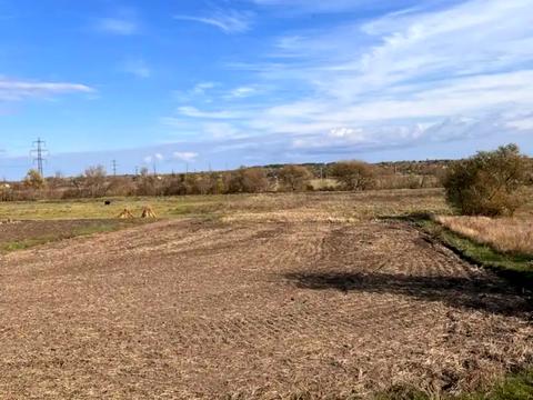 будинок за адресою Степова