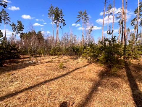участок по адресу Шевченка
