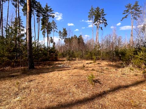 участок по адресу Шевченка