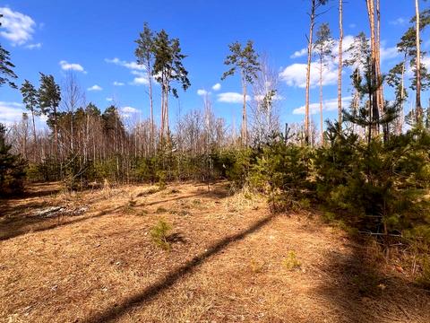участок по адресу Шевченка