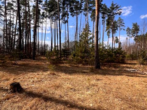 участок по адресу Шевченка