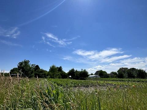 ділянка за адресою Радянська