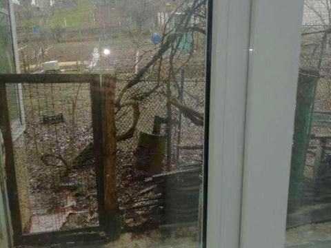 дом по адресу князькіна