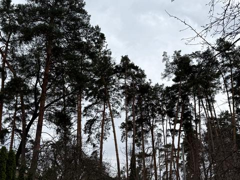 ділянка за адресою Миколи Гамалія вул.