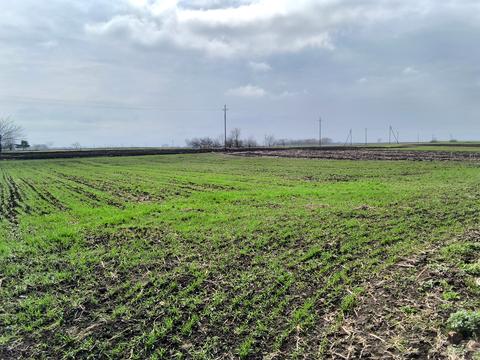 будинок за адресою Шкільна