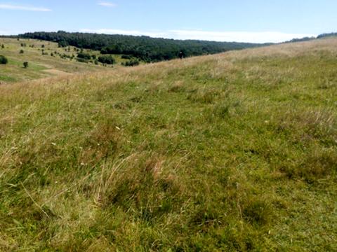 участок по адресу 