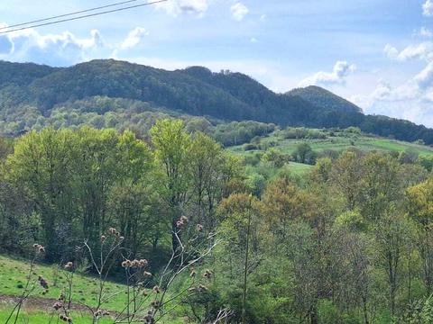 участок по адресу пгт. Воловец, Карпатская ул.
