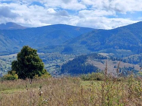 участок по адресу пгт. Воловец, Карпатская ул.