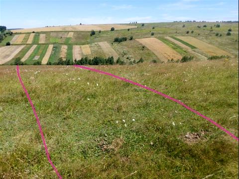 ділянка за адресою 