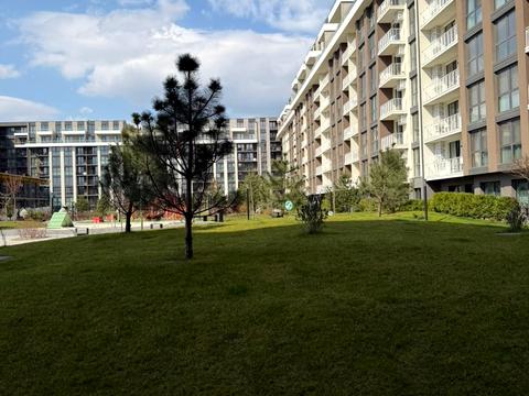 квартира за адресою Тиводара Легоцького вул., 80