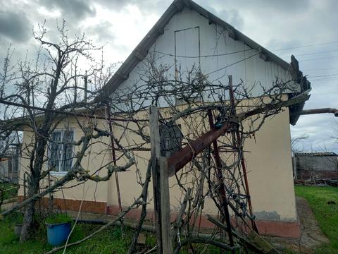 будинок за адресою Виноградна, 123
