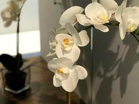 квартира за адресою Жилянська вул., 68