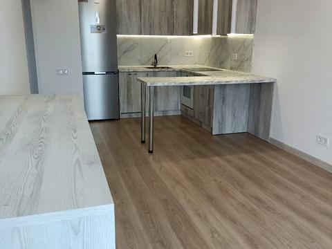 квартира по адресу Михаила Максимовича ул. (Трутенко Онуфрия), 28-Е