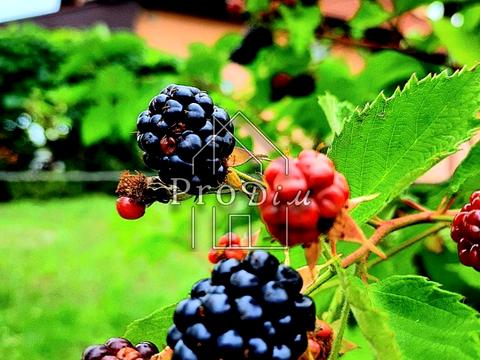 будинок за адресою Береговий пров. (Горького), 7а