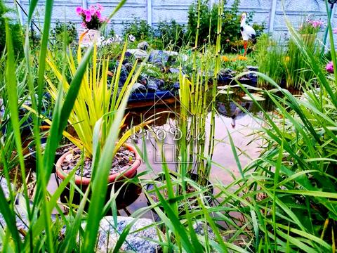 будинок за адресою Береговий пров. (Горького), 7а