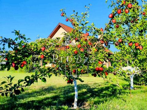 будинок за адресою Береговий пров. (Горького), 7а