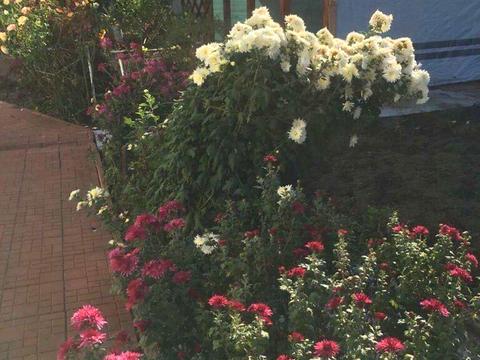 будинок за адресою Ярова вул. (Червоноармійська)