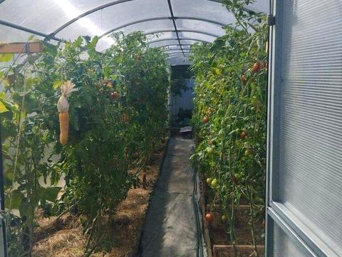 будинок за адресою Ярова вул. (Червоноармійська)