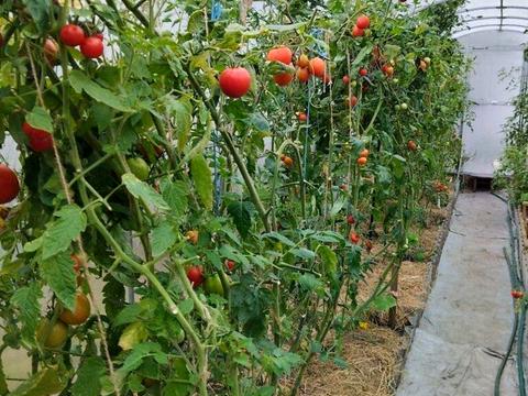 будинок за адресою Ярова вул. (Червоноармійська)