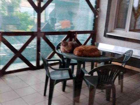 будинок за адресою Ярова вул. (Червоноармійська)