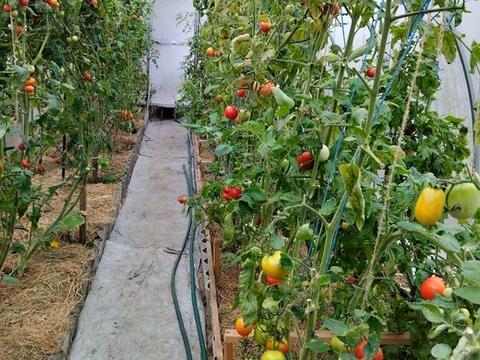 будинок за адресою Ярова вул. (Червоноармійська)