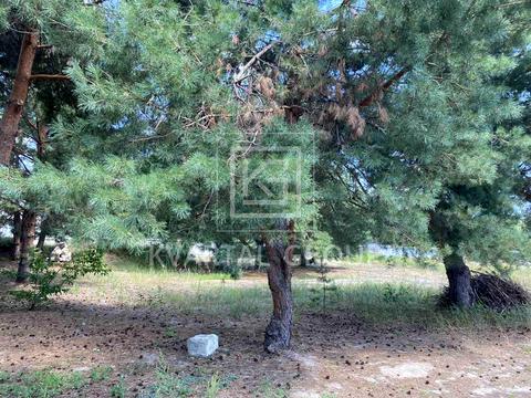 участок по адресу 