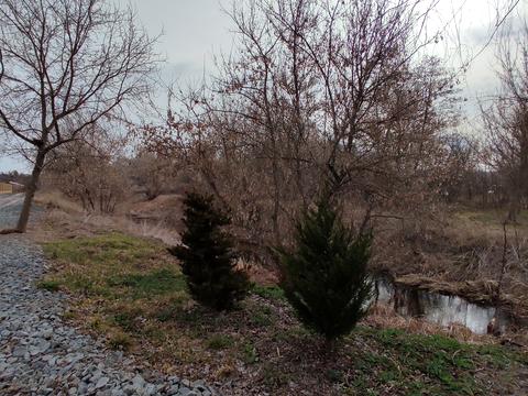 ділянка за адресою 