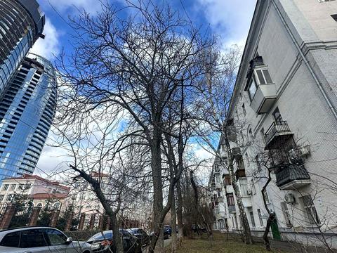 квартира по адресу Павла Загребельного ул. (Миколи Раєвського), 28