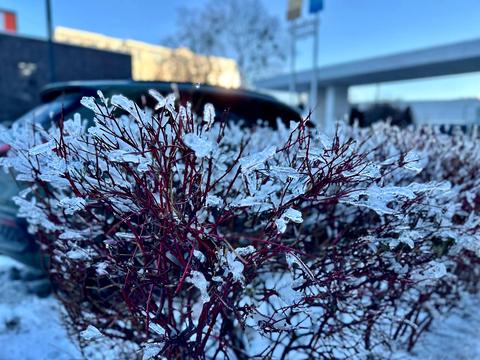 квартира за адресою Салютна вул., 2к22