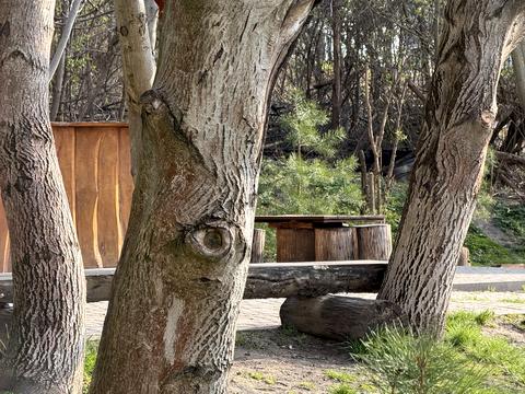 квартира за адресою Малоголосківська вул., 12-В