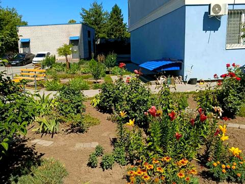 квартира за адресою Миколи Різоля вул. (Маршала Судця), 42б