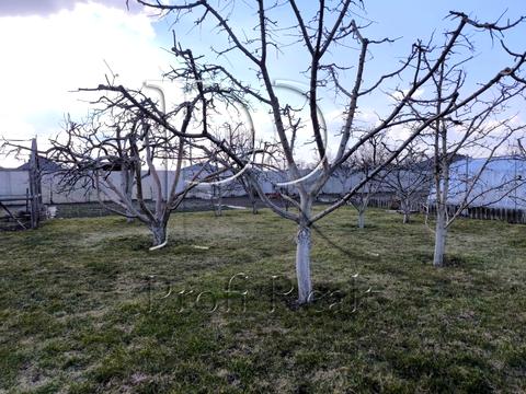 дом по адресу Ивана Некрашевича ул.