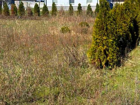 участок по адресу с. Даниловка, Озерна ул. (Пролетарська), 33