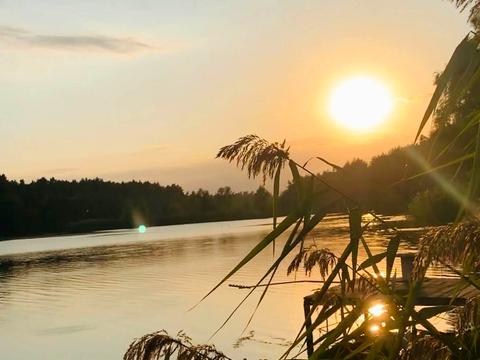 дом по адресу Лінія 4, 6