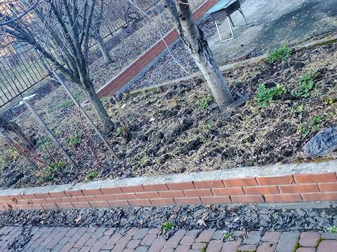 дом по адресу Лінія 4, 6