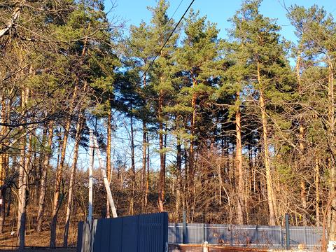 дом по адресу Лінія 4, 6