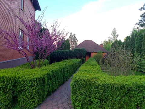 будинок за адресою Мрія вул., 1