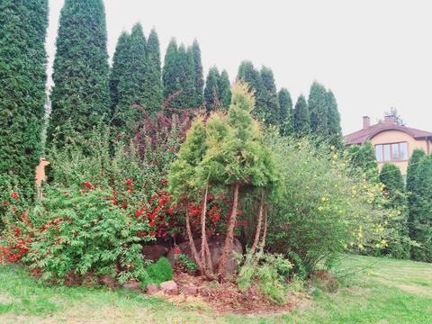 будинок за адресою Мрія вул., 1