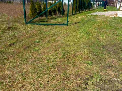 участок по адресу с. Даниловка, Озерна ул. (Пролетарська), 33