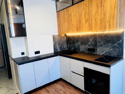 квартира за адресою Академіка Вільямса вул., (Будинок)