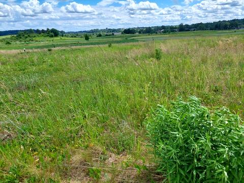 ділянка за адресою 