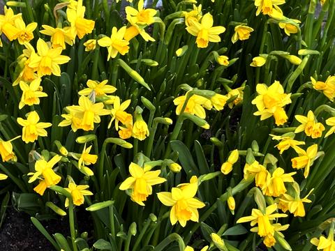 квартира по адресу Александра Кошица ул., 10/21