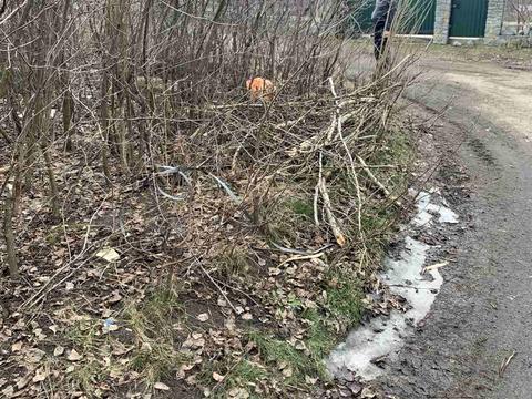 ділянка за адресою 