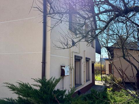 дом по адресу с. Процев, Центральная ул. (Пролетарская)