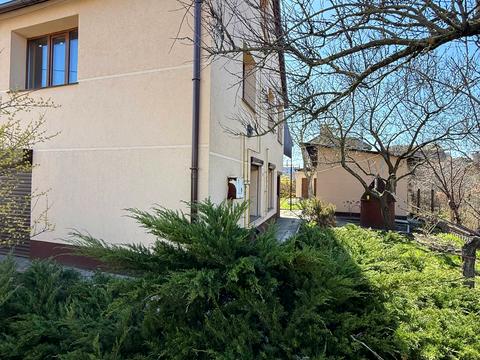 дом по адресу с. Процев, Центральная ул. (Пролетарская)